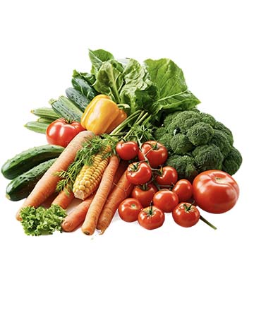 Vegetable Packaging Solution